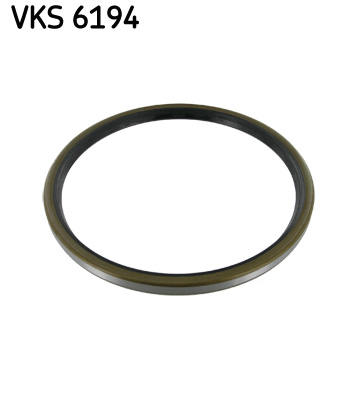 Paraolio, Cuscinetto ruota - VKS 6194 SKF